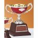  чемпионский кубок C1704C высота 18cm красный знак inserting бесплатный 