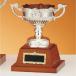  чемпионский кубок C1708C высота 20cm серебряный знак inserting бесплатный 