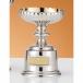  чемпионский кубок C1711C высота 14cm серебряный знак inserting бесплатный 