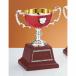  чемпионский кубок C1720A высота 25cm красный знак inserting бесплатный 