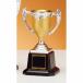  чемпионский кубок C1722D высота 20cm оранжевый знак inserting бесплатный 