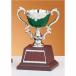  чемпионский кубок C1727C высота 18.5cm зеленый знак inserting бесплатный 