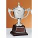  чемпионский кубок C1729A высота 27cm серебряный знак inserting бесплатный 