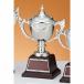  чемпионский кубок C1729C высота 21.5cm серебряный знак inserting бесплатный 