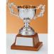  чемпионский кубок C1732C высота 22.5cm серебряный знак inserting бесплатный 