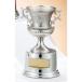  чемпионский кубок C1736C высота 18.5cm серебряный знак inserting бесплатный 