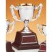  чемпионский кубок C1737B высота 26cm серебряный знак inserting бесплатный 