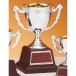  чемпионский кубок C1737C высота 22cm серебряный знак inserting бесплатный 