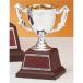  чемпионский кубок C1737F высота 14.5cm серебряный знак inserting бесплатный 