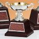  чемпионский кубок C1738D высота 14cm серебряный знак inserting бесплатный 