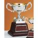  чемпионский кубок Golf специальный C1741A высота 24cm серебряный знак inserting бесплатный 