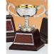  чемпионский кубок Golf специальный C1741D высота 15.5cm серебряный знак inserting бесплатный 