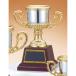  чемпионский кубок C1850B высота 22.5cm серебряный знак inserting бесплатный 