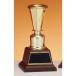  чемпионский кубок C1872A высота 19cm Gold знак inserting бесплатный 