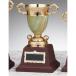  чемпионский кубок Golf специальный C1917B высота 25.5cm знак inserting бесплатный 