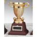  чемпионский кубок Golf специальный C1917C высота 21.5cm знак inserting бесплатный 