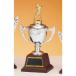  чемпионский кубок CW1747C высота 29.5cm серебряный знак inserting бесплатный 