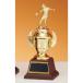  чемпионский кубок CW1748C высота 24.5cm Gold знак inserting бесплатный 
