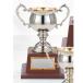 чемпионский кубок DC-1411C высота 25.5cm серебряный знак inserting бесплатный 