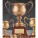  чемпионский кубок DC-1452A высота 41cm Vintage способ дерево коробка в кейсе знак inserting бесплатный 