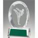  crystal Trophy каратэ GW4225-05 высота 10.5cm знак inserting бесплатный 