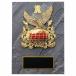 .P637C 21×15cm знак inserting бесплатный 