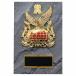 .P637D 18×12cm знак inserting бесплатный 