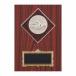 .PW55A 21×15cm знак inserting бесплатный 