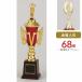  Trophy T313H высота 37cm стандартный знак inserting бесплатный 