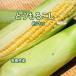  кукуруза кукуруза примерно 3 kilo местного производства Ehime примерно 11-1 2 шт Matsuyama рефрижератор овощи 