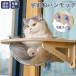  кошка присоска type космический корабль bed выдерживаемая нагрузка 15kg присоска прозрачный из дерева .... кошка bed кошка bed домашнее животное легко устанавливается крепкий 