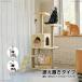  башня для кошки кошка коготь .. игрушка bed из дерева кошка bed кошка tower кошка кошка house гамак кошка игрушка kiyatsuto tower домашнее животное bed коготь точить compact 