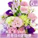 ������ �� ���� ���� ����� ������ ���R�[�X 6���� ������� ���� ���� ���� �ԑ� �t�����[ �A�����W�����g �G�߂̉�  49�� ���蕨