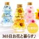  цветок подарок подарок season tree гербарий Sakura подсолнух blue star модный . работа праздник . настольный женщина день рождения 40 плата 50 плата 60 плата 