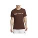  Nike NIKE Dri-FIT бег футболка мужской весна лето Brown чай цвет спорт тренировка короткий рукав футболка FQ3921-259