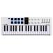 Arturiaa- Tria MINILAB 37 WH белый MIDI контроллер 