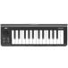 KORG microKEY-25 controller keyboard [ courier service ][ classification B]