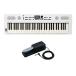 Roland GOKEYS5-WH + демпфер педаль DP-10 комплект белый синтезатор 