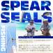 SPEAR SEALS �X�s�A�V�[���Y ���� �X�s�A�t�B�b�V���O�p �� �X�����O���o�[ 50cm �|�[���X�s�A �֘A�摜2