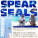 SPEAR SEALS ���� �Z�b�g �O���X�t�@�C�o�[ 3�s�[�X 5�� 205cm ��� ���˂� �� ���X ���� �� �˂� �X�s�A�t�B�b�V���O �֘A�摜1