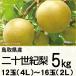  Tottori префектура производство 2 10 век груша 5K4L~2L 12~16 шар (220_ груша 26)
