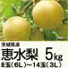  Ibaraki префектура производство . вода груша 5K6L~3L 8~14 шар (220_ груша 26)