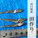 �c��i���Â���j100g �֘A�摜2