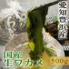  новый предмет сырые вакамэ . черепаха 500g местного производства префектура Аичи .. производство прохладный рефрижератор рейс 