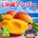  манго Okinawa 2 коробка комплект 1 коробка на примерно 1kg(2 шар ~3 шар ).. местного производства ваш заказ . данный земля прямая поставка от производителя подарок лето подарок подарок на Bon Festival ....... Kyushu 