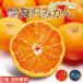 �݂��� �F�{ ���� �������� �Ïn�ґ�݂��� 2���Z�b�g 1���������2kg S�`2S�̂����ꂩ �~�J�� ���� ���Y ��B ���k �Y�n���� �ʕ� �M�t�g �܂邩�����B