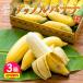  Apple banana Okinawa 3 коробка комплект 1 коробка на примерно 1kg(6~20шт.@) banana яблоко местного производства ваш заказ . данный земля прямая поставка от производителя фрукты фрукты ..... Kyushu 