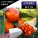 . выгорание . мандарин .. мульти- подарок по случаю конца года высота сахар раз .. бесплатная доставка для бытового использования высококлассный сельское хозяйство дом прямая поставка свежий Aichi (724). выгорание . белый. подарок коробка размер смешивание превосходящий super смешивание примерно 3kg входить 
