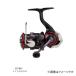  Daiwa 23 Queen of the Night (GEKKABIJIN) LT2000S