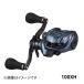  Daiwa tielaTIERRA AIR IC 100XH